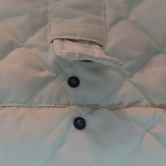 Eddie Bauer Quilted Goose Down Filled Jacket. Mint Green Size Large - Picture 3 of 9